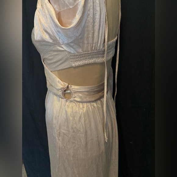 Rahi Leila Luster Long Sleeve Maxi Dress in Blush | Crossover Front | Open Back - Picture 12 of 12